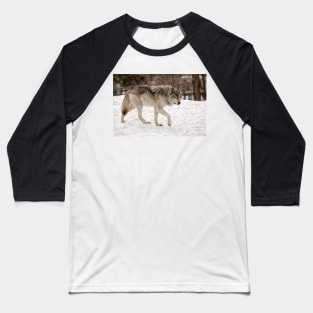 Prowling Wolf Baseball T-Shirt